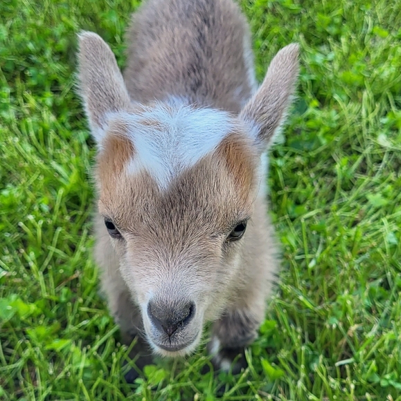 MEET MY KIDS! - Picture 2 of 10